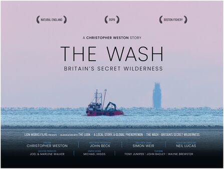 The Wash film graphic