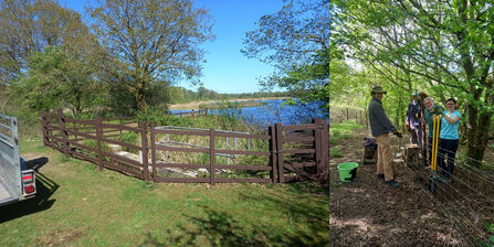Lincolnshire fencing and repairing stock fencing at Whisby