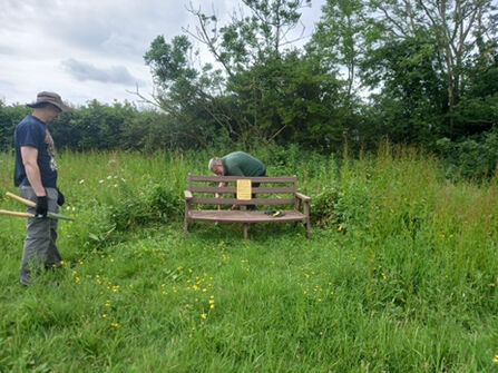 Clearing around a bench at Whisby for wardens blog