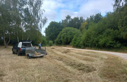 Raking meadows after mowing at Whisby