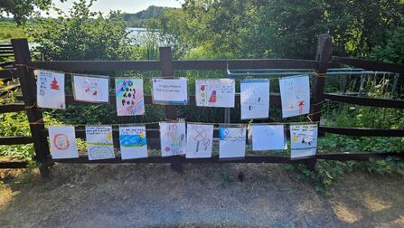 Bag and bin dog poo signs by visiting school groups at Whisby