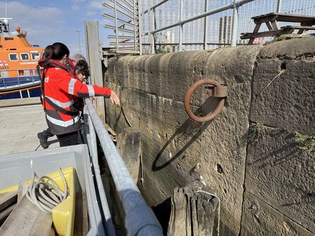 Looking at planned oyster restoration site in Grimsby