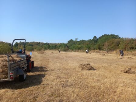 Raking the cuttings at Plover Beach North at Whisby