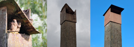 Kestrel box at Whisby before and after