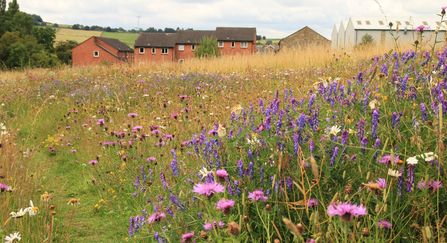 Green Investment in Greater Lincolnshire | Lincolnshire Wildlife Trust