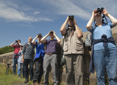 Binoculars Red Kite Spotting