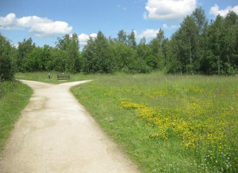 Whisby Nature Park
