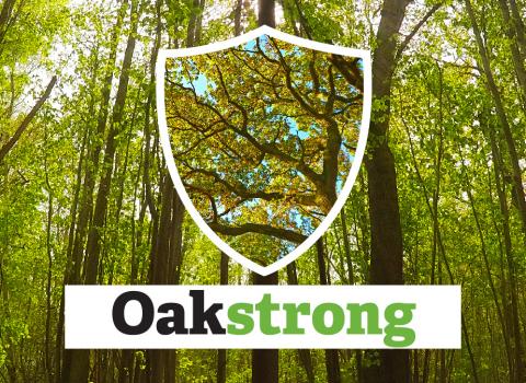 Oakstrong