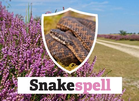 Snakespell