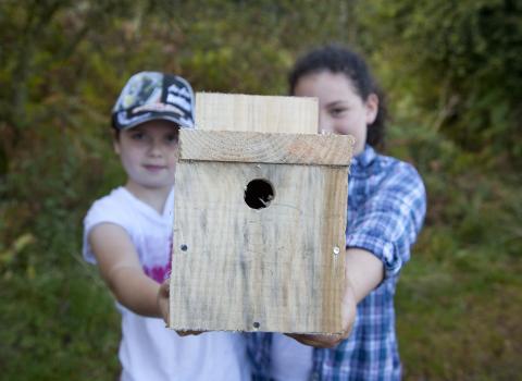 Bird Nest Box