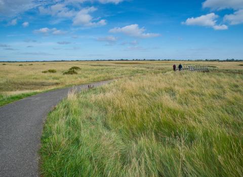 Gibraltar Point