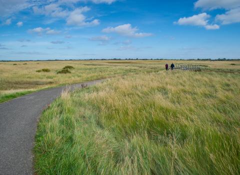 Gibraltar Point