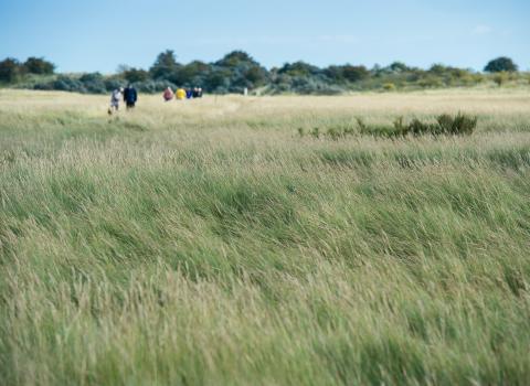 Gibraltar Point