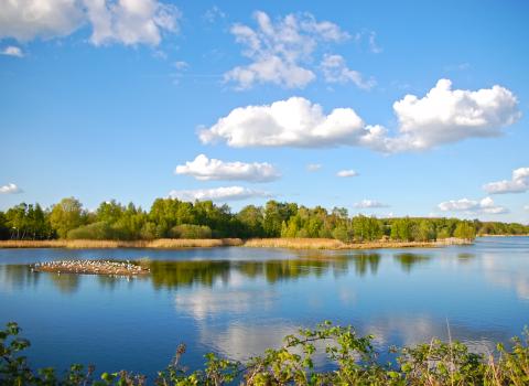 Whisby Nature Park