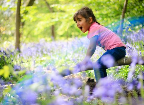 Kids in bluebells