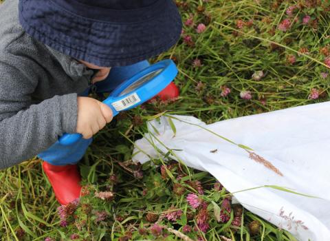 Kids on nature reserves