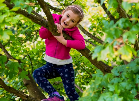 Climbing trees