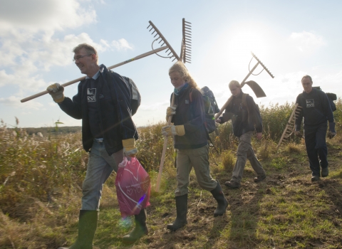Volunteers
