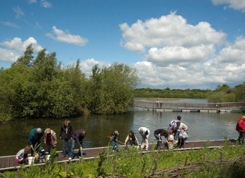 Whisby Nature Park