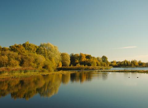 Whisby Nature Park