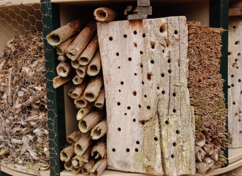 Bug hotel