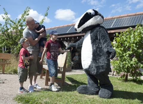 Lincolnshire Wildlife Trust badger