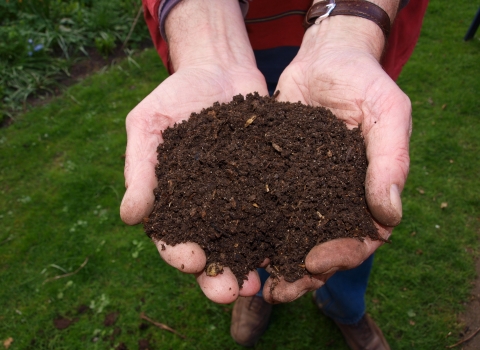 Compost