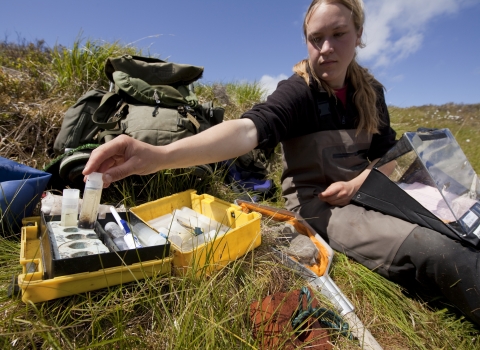 River survey