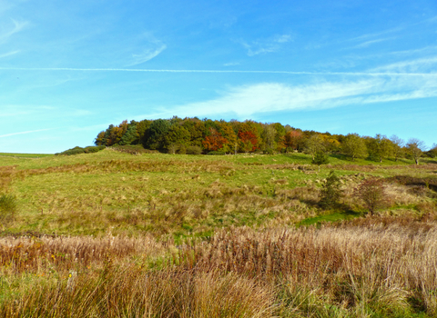 Snipe Dales