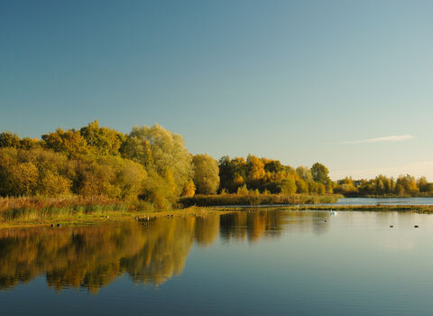 Whisby Nature Park