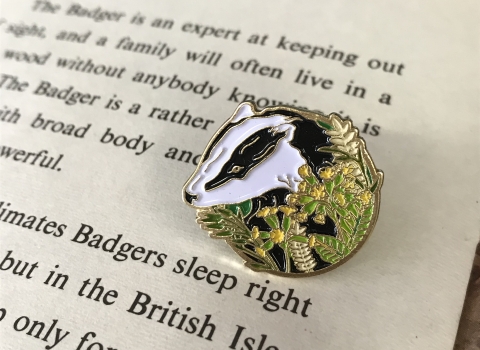 Lincolnshire Wildlife Trust collectable badger pin badge