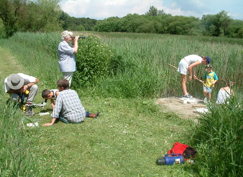 Messingham Sand Quarry