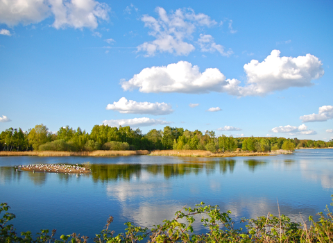 Whisby Nature Park