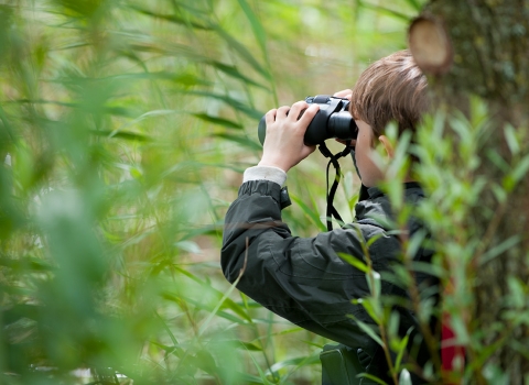 Pond dipping