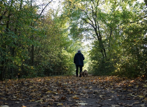 Dog walker