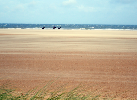 Lincolnshire Coastal Country Park