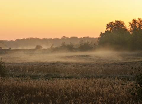 Lakenheath Fen (c) Terry Whittaker/2020VISION