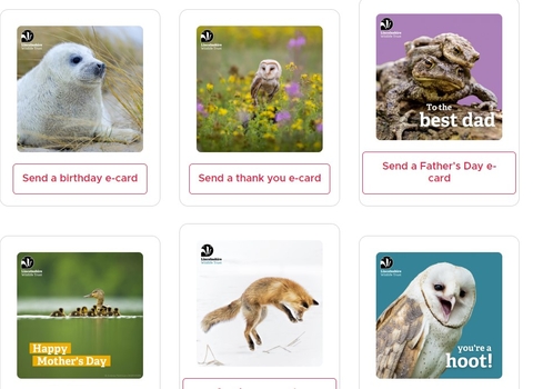 Lincolnshire Wildlife Trust e-cards
