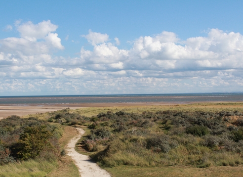 View of sand dunes and beach at Gibraltar Point (c) Barrie Wilkinson