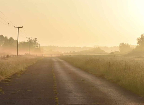 View down the runway at Woodhall Spa Airfield nature reserve
