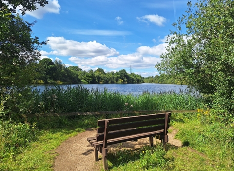 Bench with lake view at Whisby