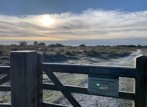 Gibraltar Point dunes path in winter