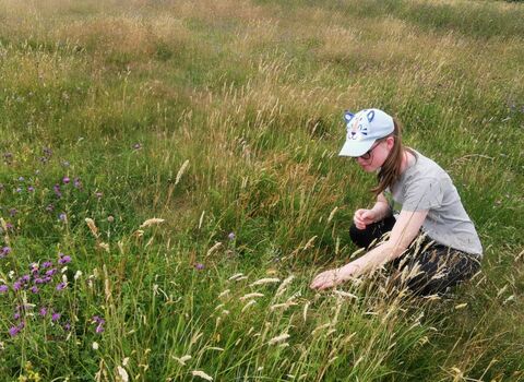 A young person crouched in a meadow survey the wildflowers