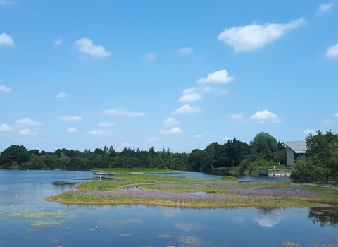 View across Thorpe Lake to the Natural World Centre