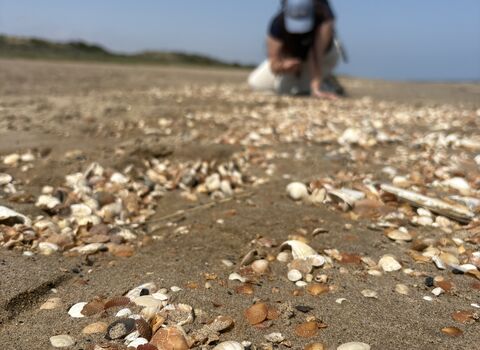 Checking stuff on the strandline