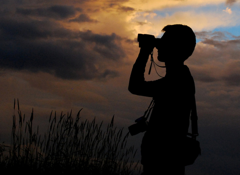 Binoculars at sunset