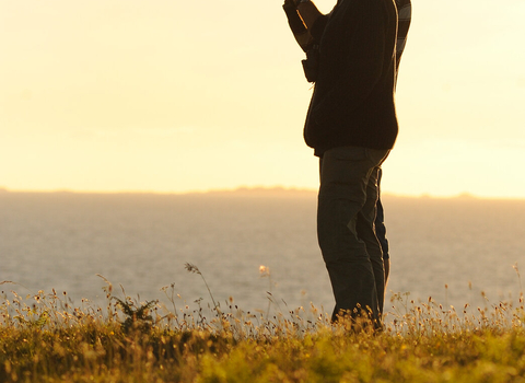 Birdwatching at sunset