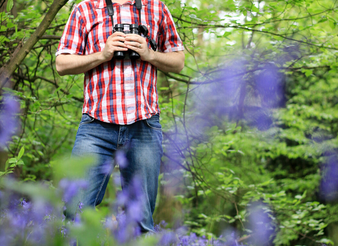 People and bluebells