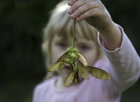 Child autumn