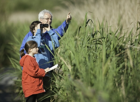 Family birdwatching